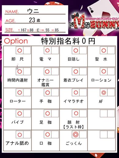 ドMなバニーちゃん名古屋中村店 패션헬스 서비스 업소 UNI