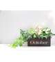 ㈭