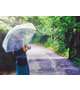 梅雨っぽき☂️