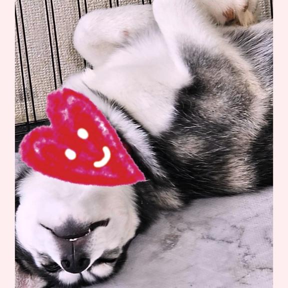 写メ日記サムネイル