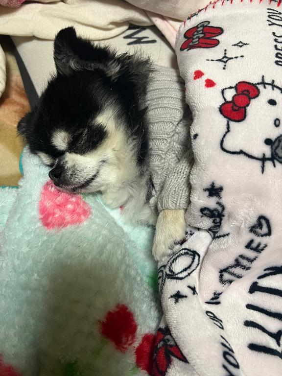 写メ日記サムネイル