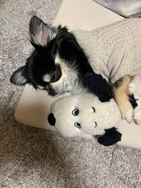 写メ日記サムネイル