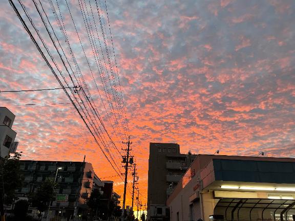 写メ日記サムネイル
