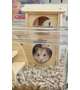 きょうのチビ太っ🐹