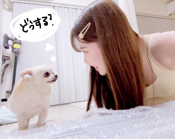 写メ日記サムネイル