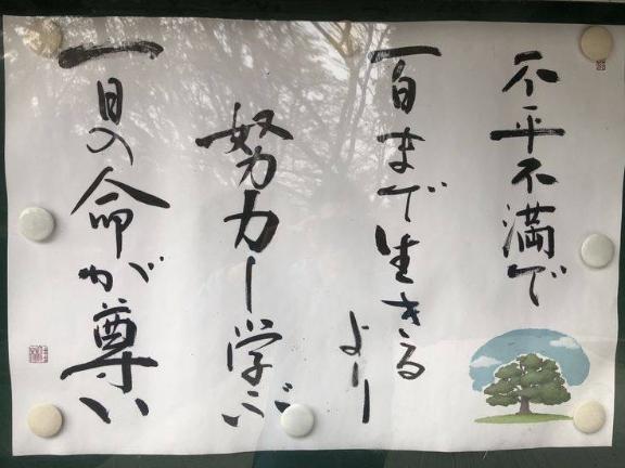 写メ日記サムネイル