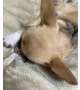 縄張り🥲