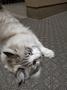 どっちも迷惑