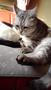 どっち？