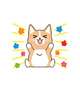 💛あした💛