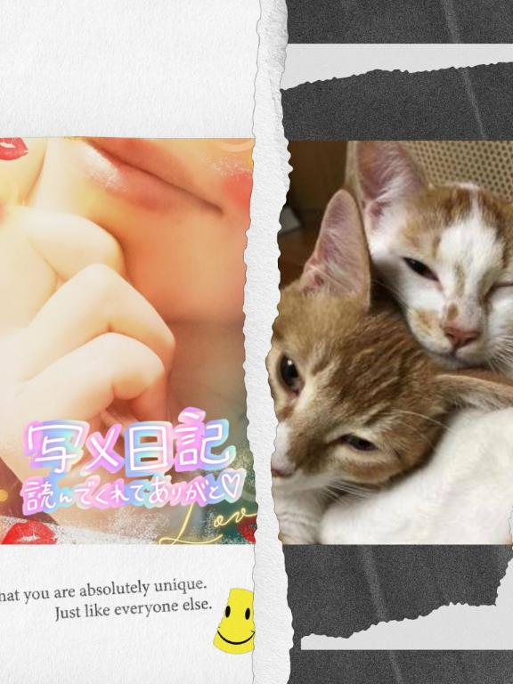 写メ日記サムネイル