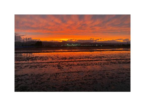 [お題]from:真剣な眼差しがステキさん