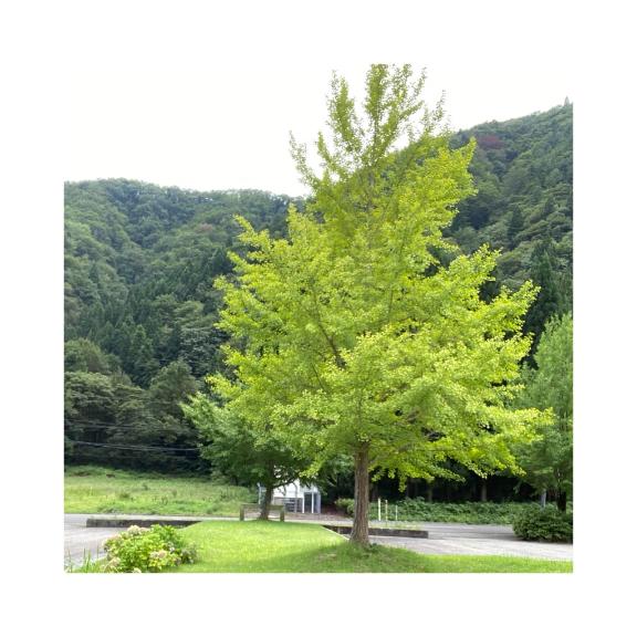 [お題]from:変態パンストPちゃんさん