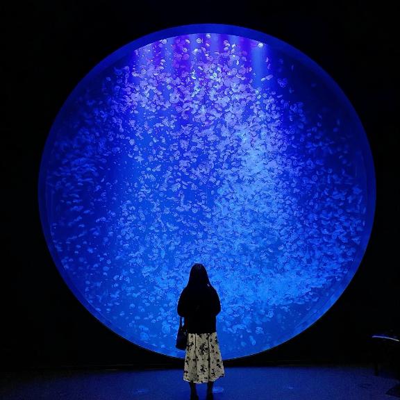 ヾ(*´・ω・`*)おやすみなさぁ～ぃ♡