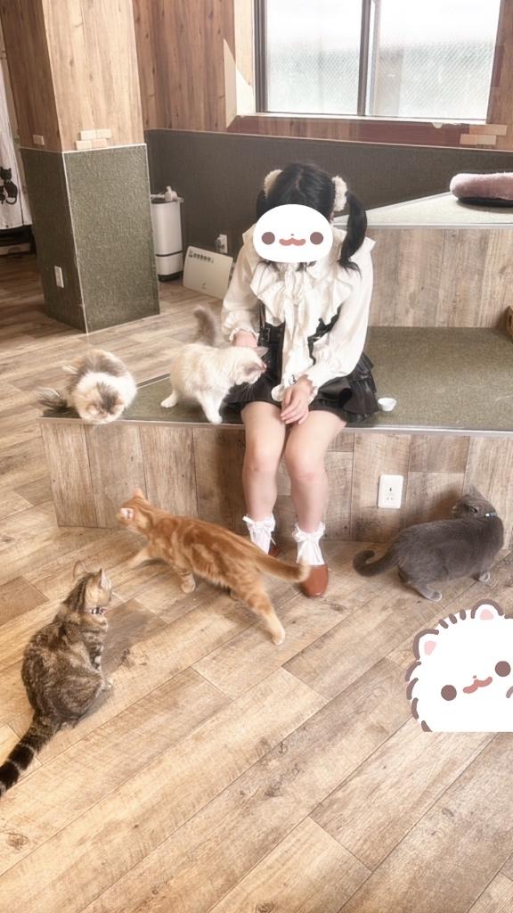 写メ日記サムネイル