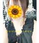 あさひのオフ🌻