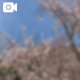 おやすみのひ🌸