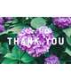 ☆Thank you☆