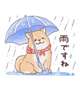 おはようございます☔