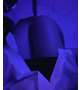 出勤💓
