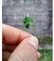 昨日のお礼💗