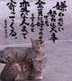 おはざます♡