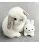 自己紹介🐰
