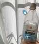 今日のお供