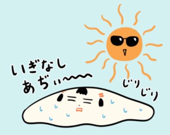 写メ日記サムネイル