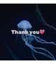 Thank you!