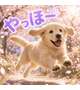 つきなです。はじめまして
