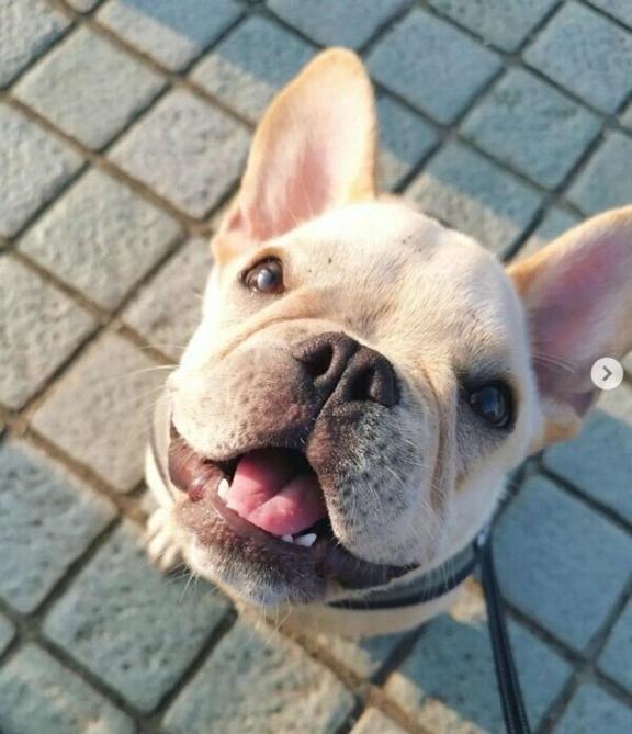 写メ日記サムネイル