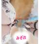 網タイツ×むちむち