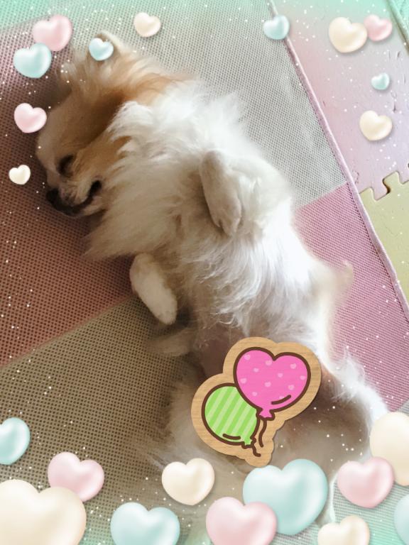 写メ日記サムネイル