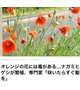 😅可憐でカワイイ　花　だけど😂