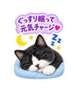 また明日(o・・o)/~
