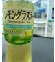 ホテリオン
