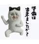 [お題]from:やっぱ新品で行こう…さん