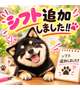 シフト追加しました