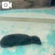 ぬぼーーーー