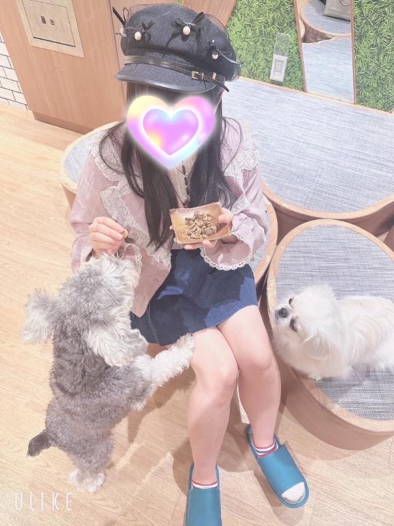 写メ日記サムネイル
