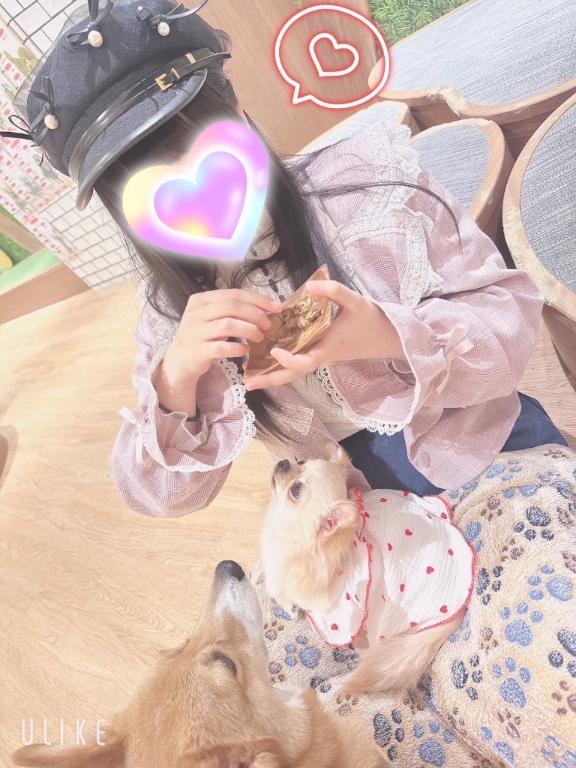 写メ日記サムネイル