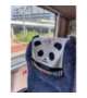 🐼