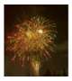 花火🎆