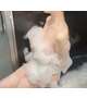 お礼💌