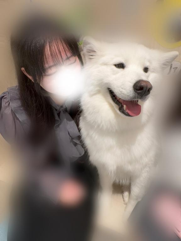 写メ日記サムネイル
