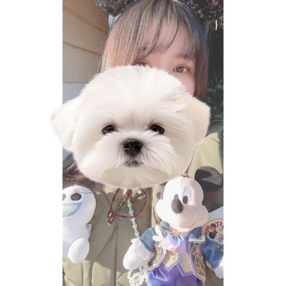 写メ日記サムネイル