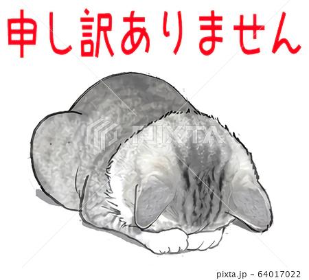 17時ご予約のＹ様