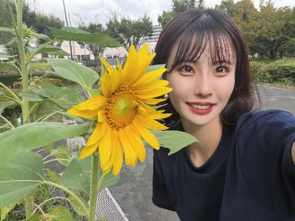 ひまわりになりたいっす🌻
