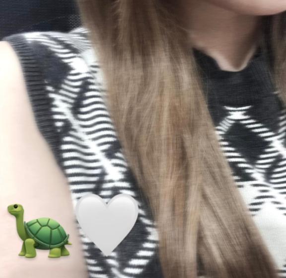 🤍🐢はじめまして🐢🤍